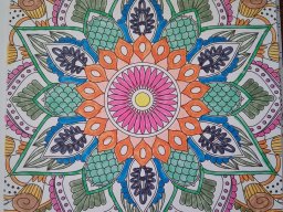 whatsapp image 2026-01-05 at 10.34.36